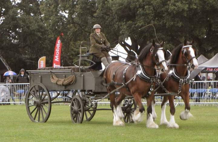 Working Demonstrations